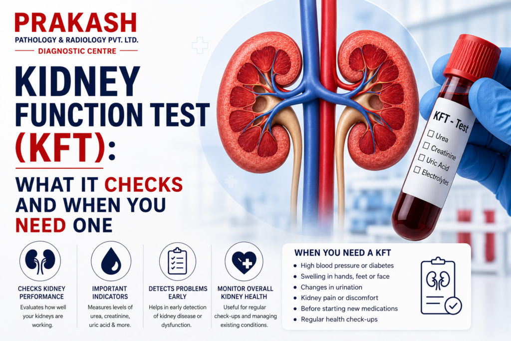 Kidney Function Test (KFT): What It Checks and When You Need One
